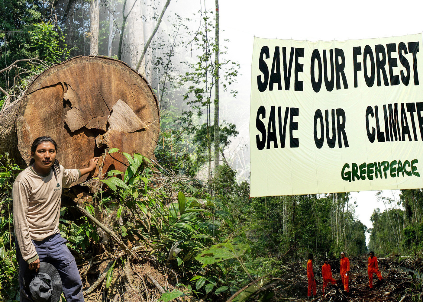 Green Climate Ideology: How People in Developing Countries Get Poorer