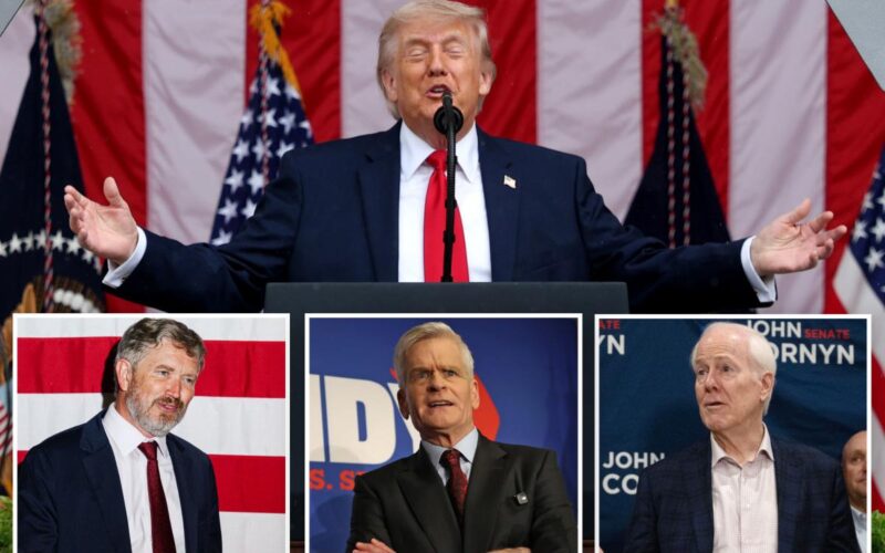 Trump Touts Perfect GOP Primary Endorsement Record in 2026