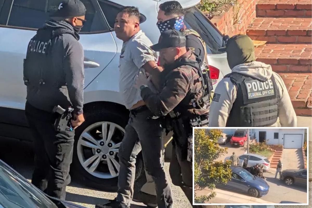 ICE Officers Remove Suspected Illegal Migrant at Gunpoint in SF