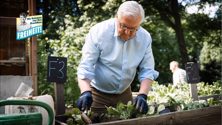 Tagesschau and President Pervert the Constitution’s Meaning
