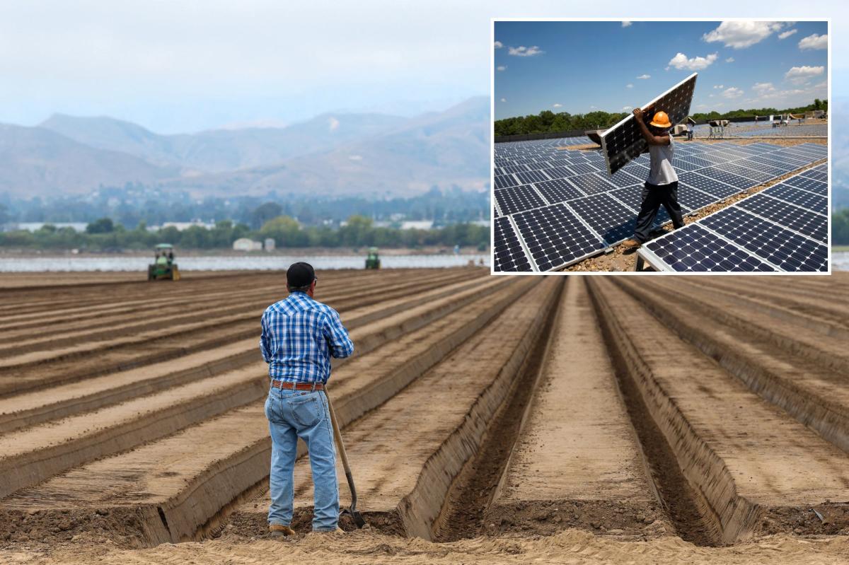 California Gives Illegal Immigrants Free Solar Panels
