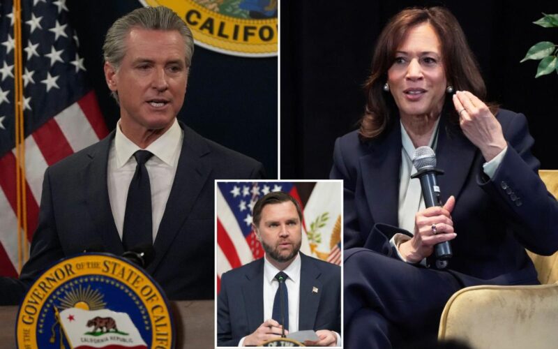 New 2028 Poll Spells Disaster for Newsom and Harris