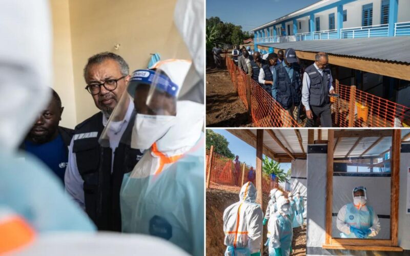 WHO: 5 Patients Recover From Rare Ebola Killing 200+ in Congo