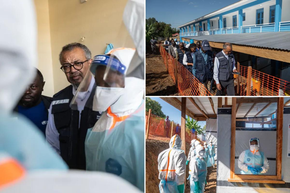 WHO: 5 Patients Recover From Rare Ebola Killing 200+ in Congo