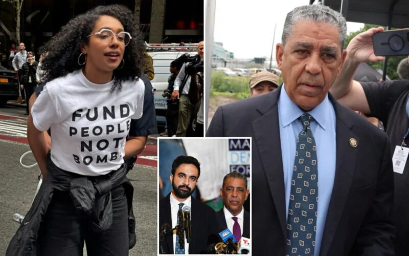 Mamdani backs DSA candidate challenging longtime Rep. Espaillat