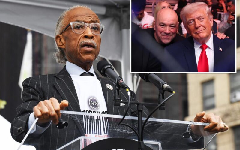 Al Sharpton Compares White House UFC Event to Slave Fights