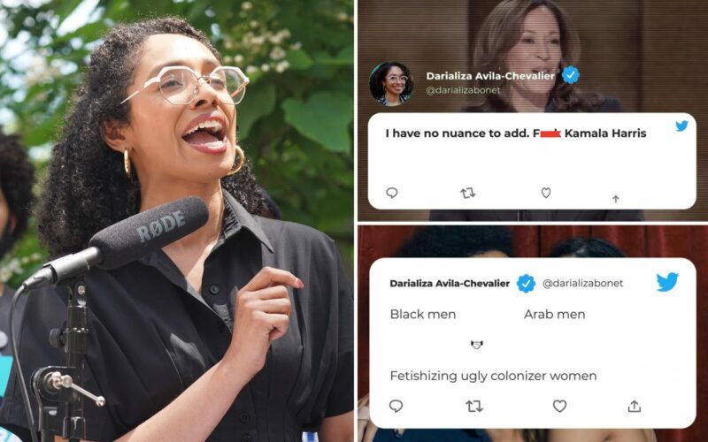 Espaillat Ad Blasts Rival Over Racist Tweet Against Black, Arab Men