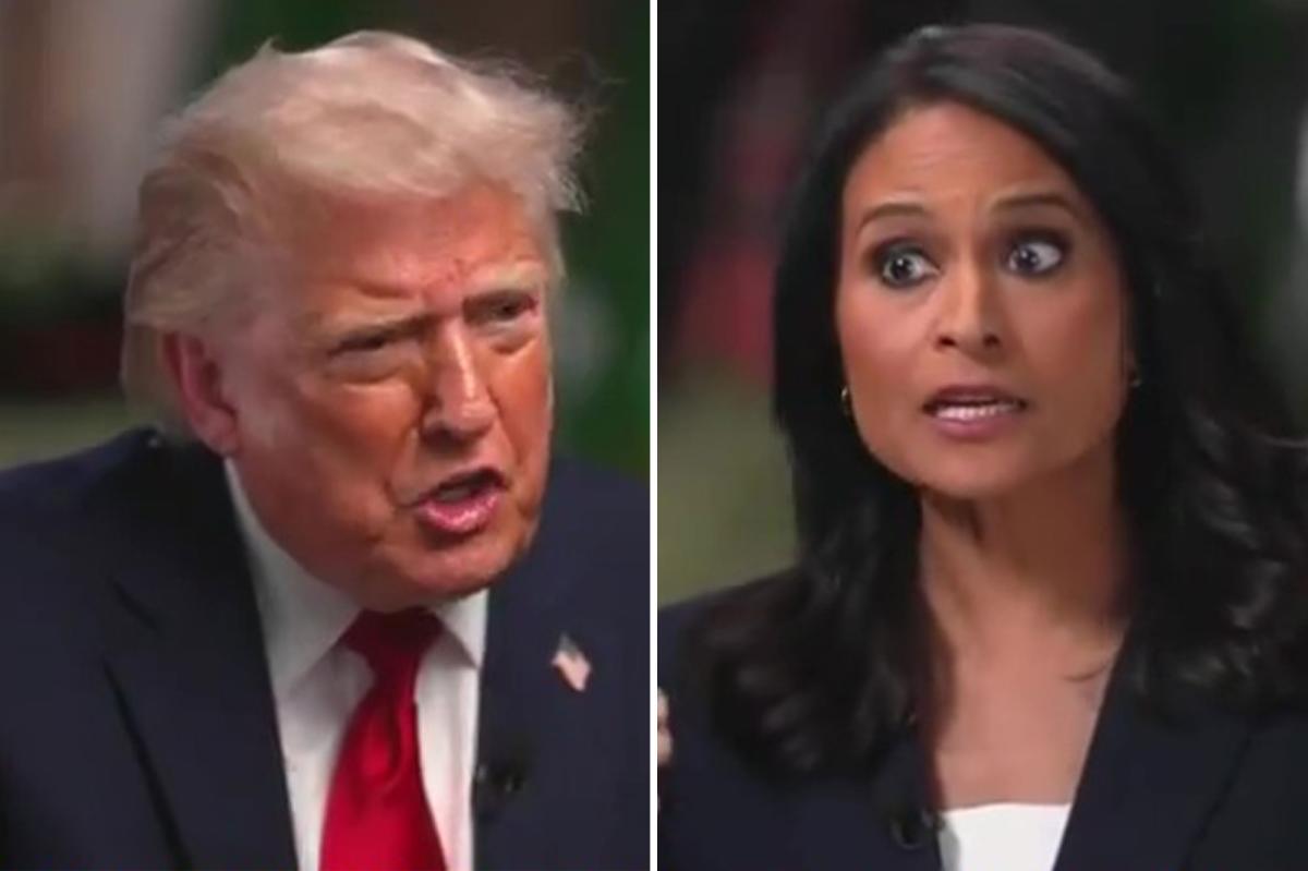 NBC Reporter’s Six Words Trigger Trump to Storm Off Interview