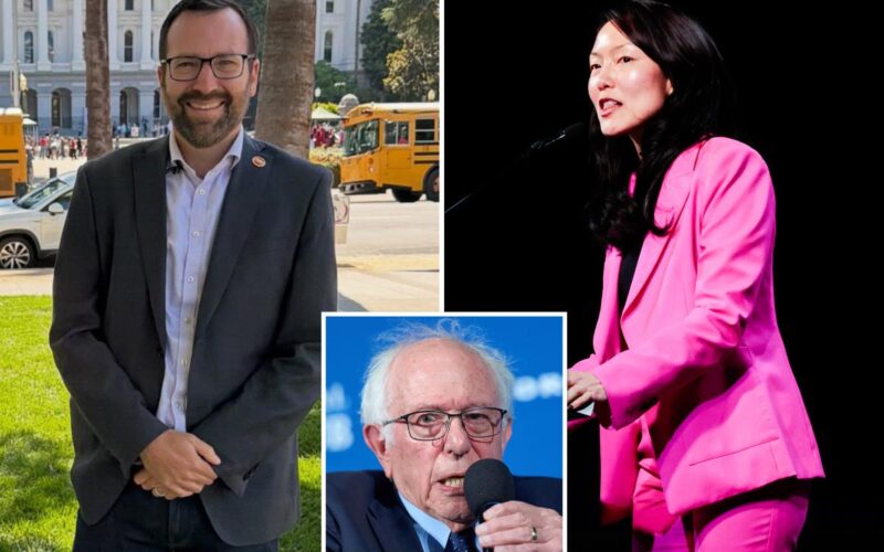 Far-Left Bernie Ally Vies for Key California Insurance Post