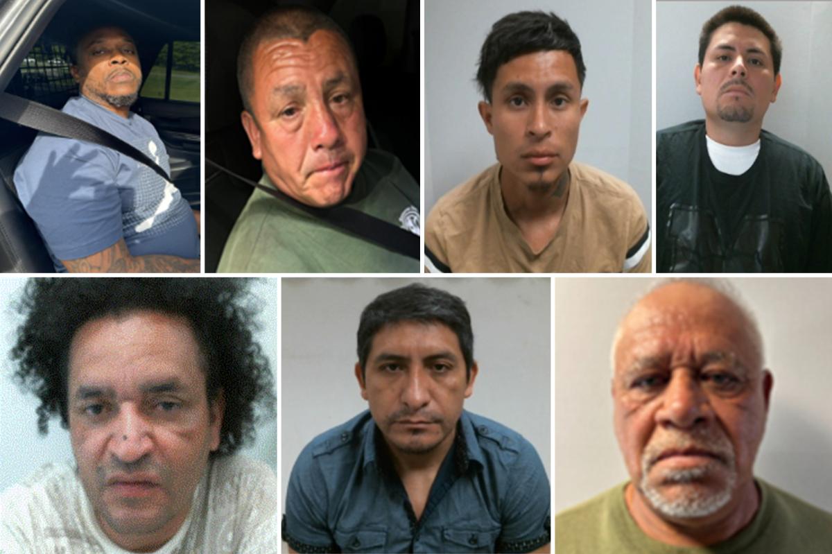 ICE blasts ‘reckless’ Mamdani, Hochul over criminal illegals in NY