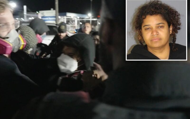 Hunter College Lecturer Arrested for Assaulting Officer at Protest