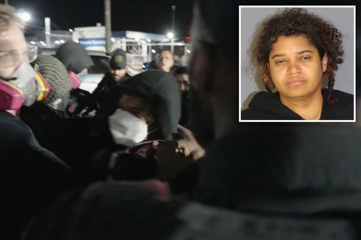 Hunter College Lecturer Arrested for Assaulting Officer at Protest