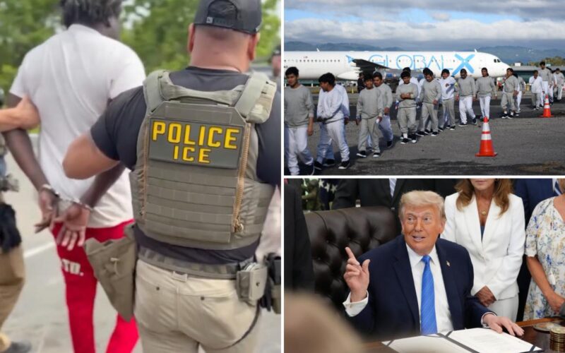More Democrats Now Back Mass Deportations: Poll