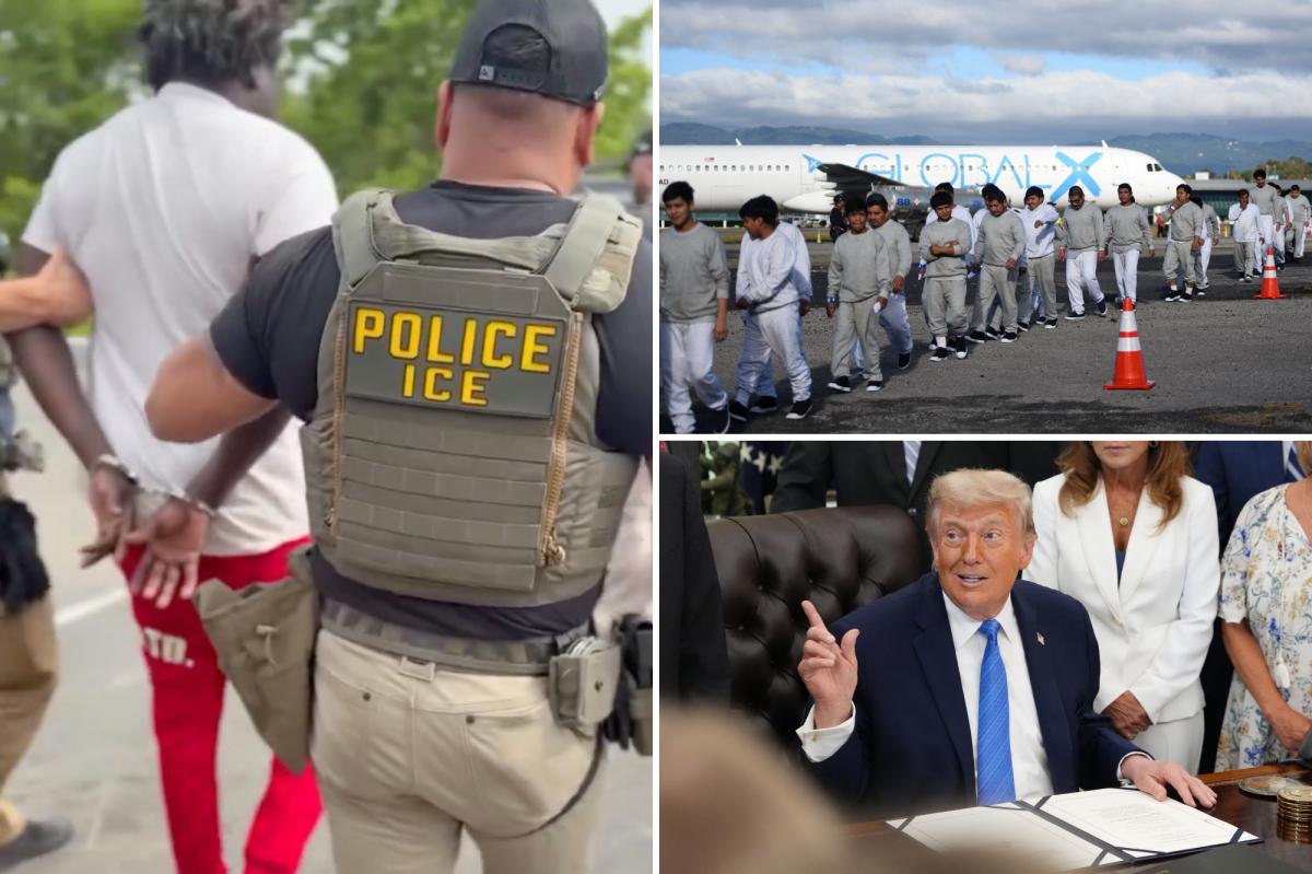 More Democrats Now Back Mass Deportations: Poll