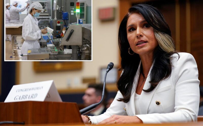 Gabbard Declassifies Details on 120 Foreign Biolabs