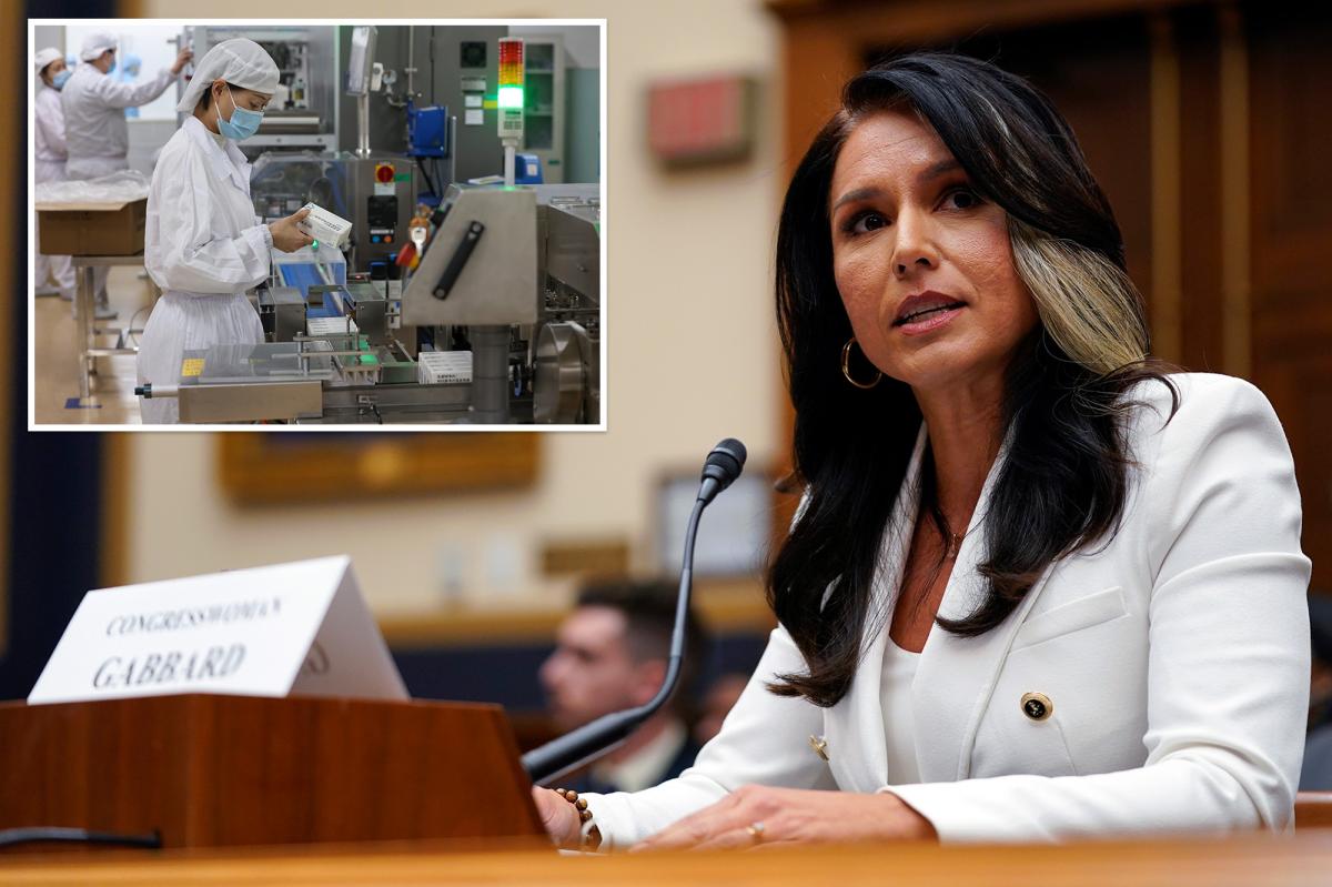 Gabbard Declassifies Details on 120 Foreign Biolabs