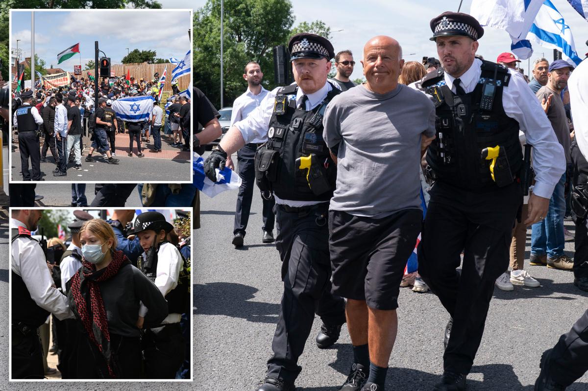 14 Arrested as Anti-Israel Mob Targets London Synagogue