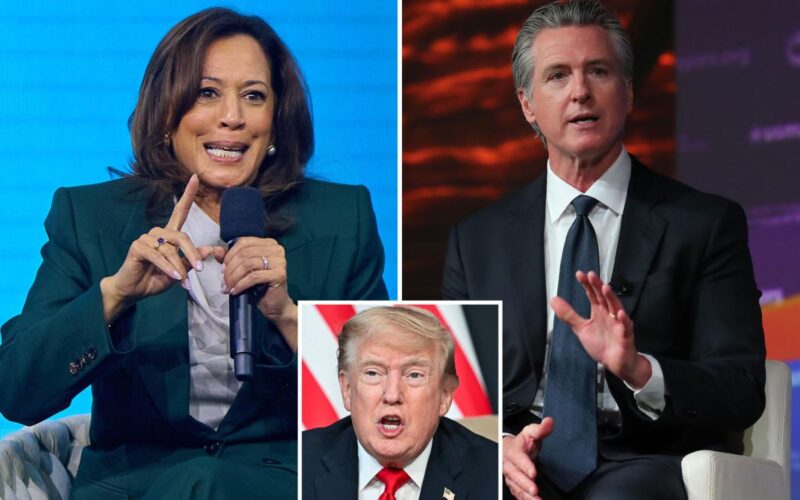 Kamala Harris Gives Two-Word Reaction to Newsom DOJ Probe