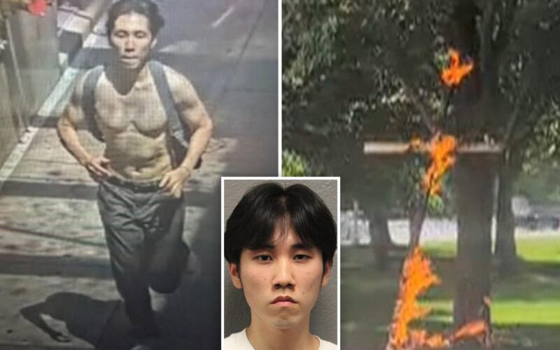 21-Year-Old Charged With Hate Crime for Burning Cross in Chicago Park
