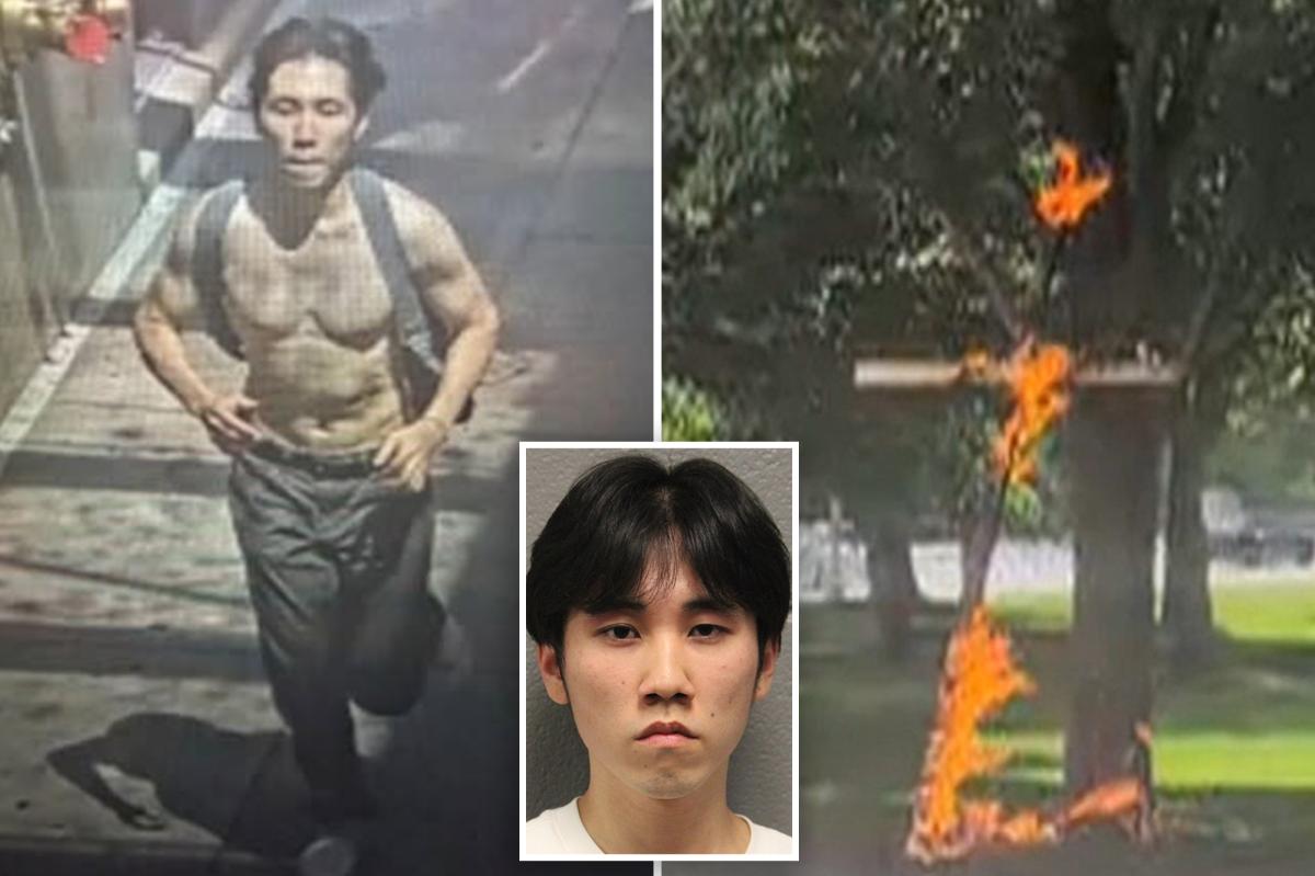 21-Year-Old Charged With Hate Crime for Burning Cross in Chicago Park