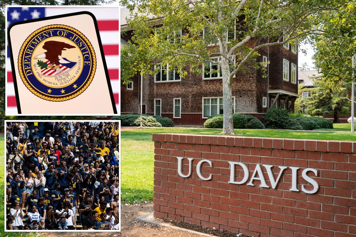 UC Davis ‘Race-Neutral’ Scale Still Considers Race
