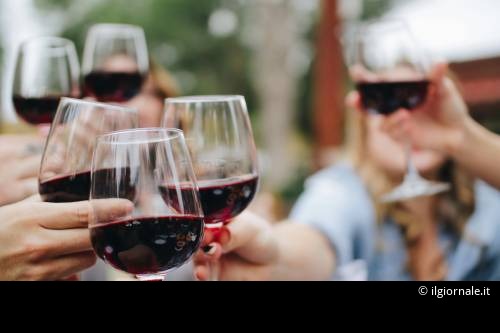 In vino canicula