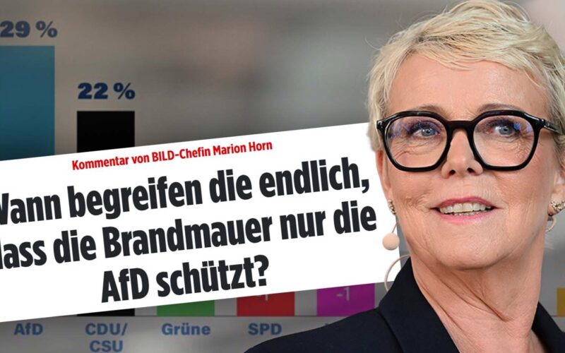 Has Bild Newspaper Changed Its AfD Course Against the Firewall?