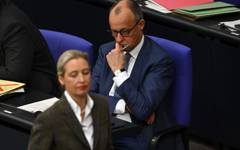 More Germans Reject Firewall Against AfD, Poll Shows