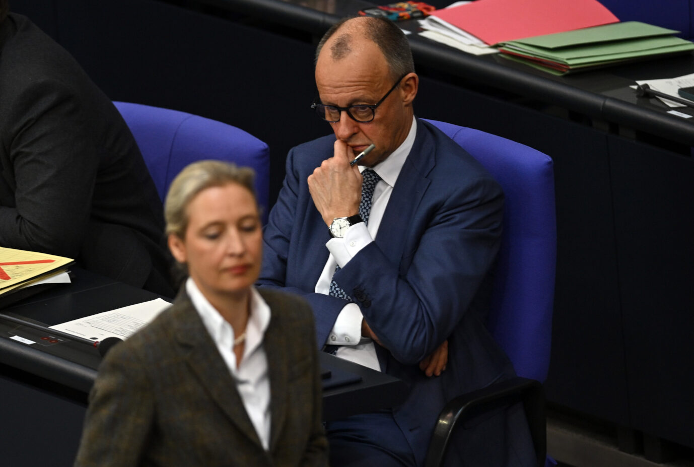 More Germans Reject Firewall Against AfD, Poll Shows