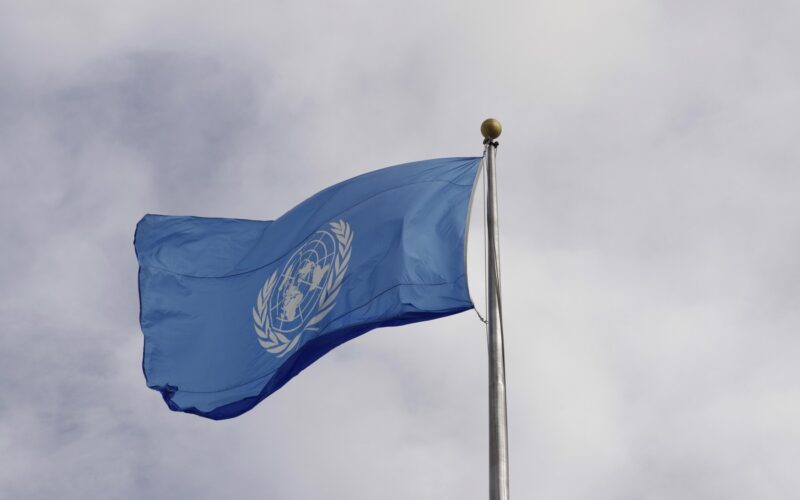UN Special Rapporteur Caught in Propaganda Scandal