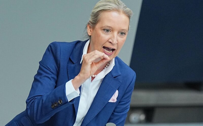 Leftists laugh as Weidel speaks about abused girls in Bundestag