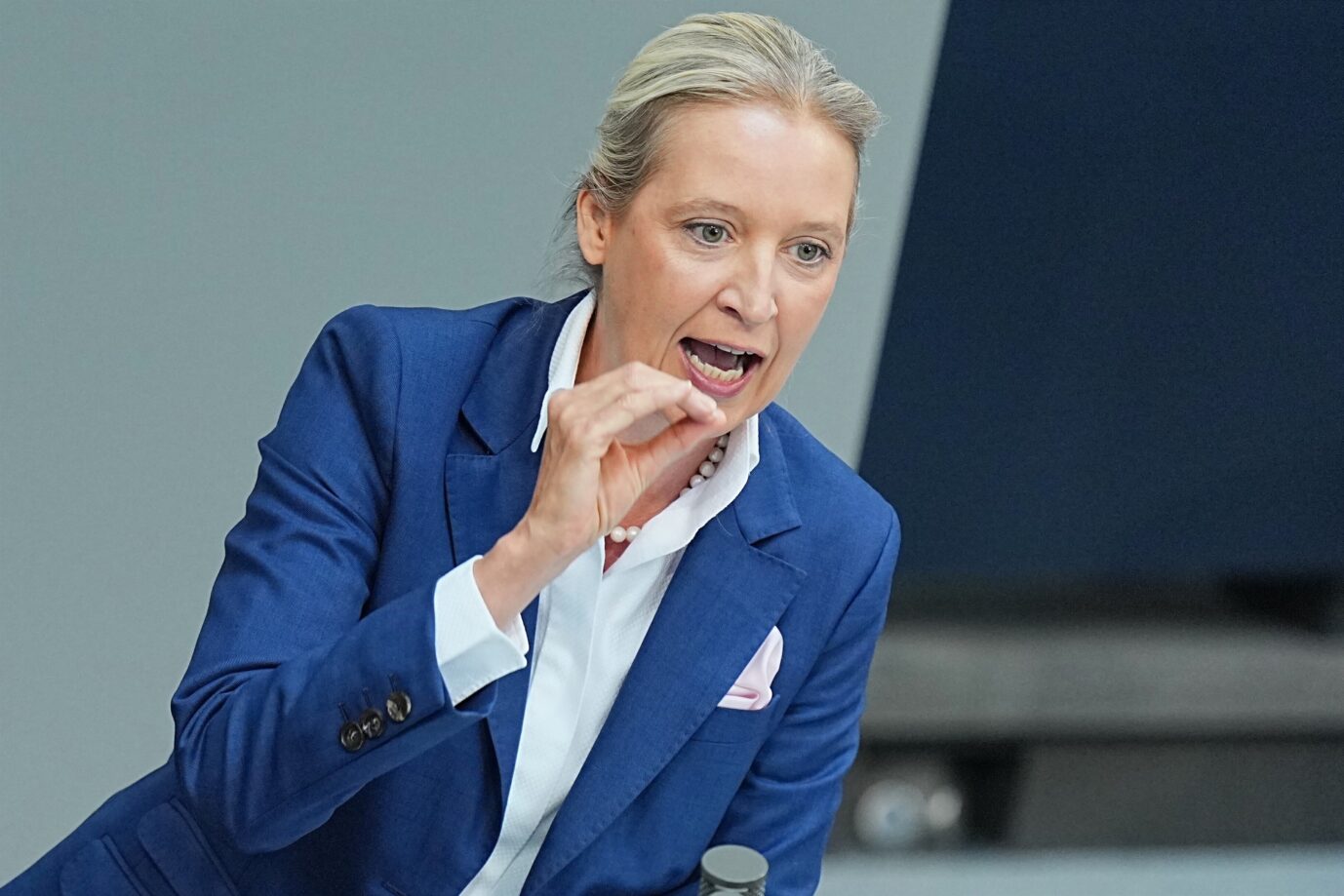 Leftists laugh as Weidel speaks about abused girls in Bundestag