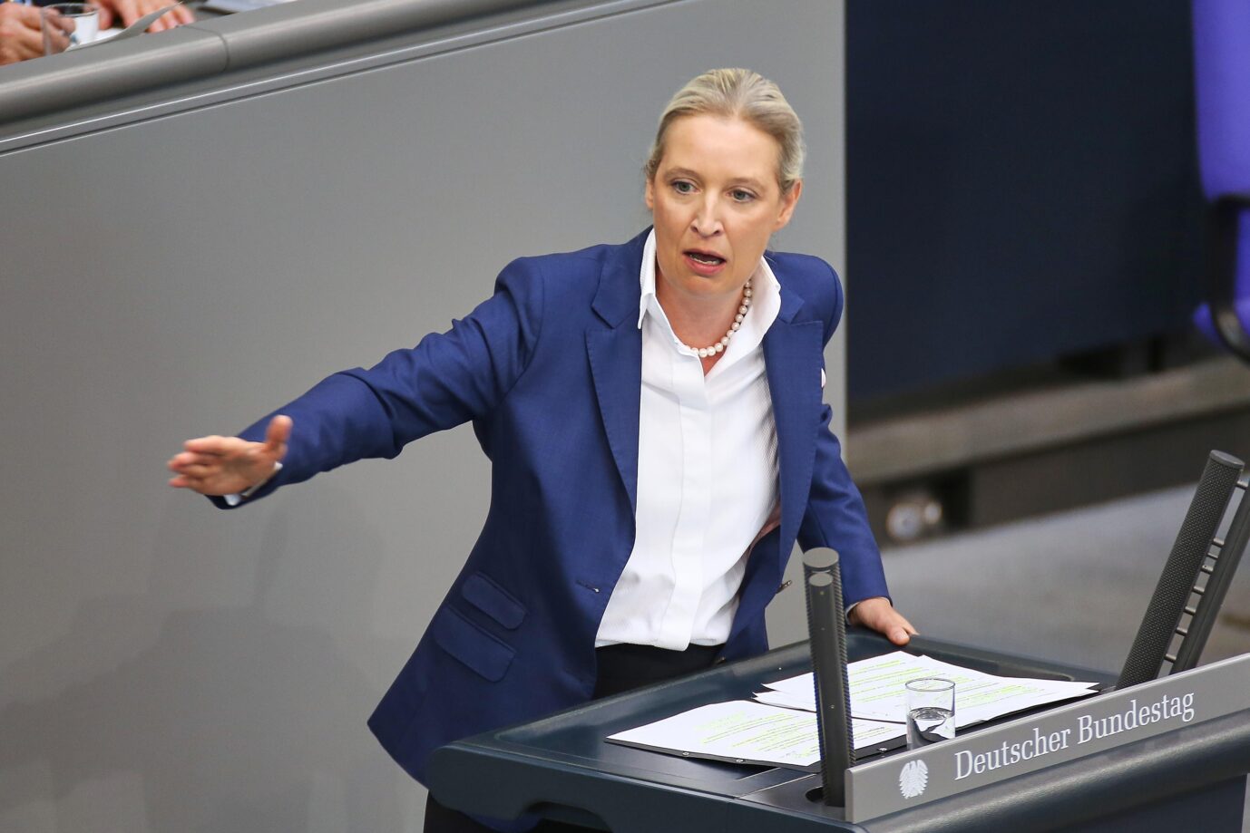 AfD Leader Weidel Declares Merz Has Failed