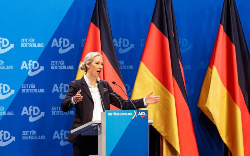 Greens Join Effort To Block AfD Congress In Germany