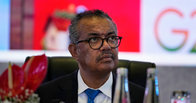 WHO Chief Admits Months-Late Ebola Response, Demands End to Travel Bans