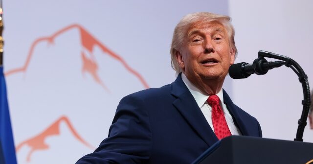 Trump: Democrats Losing in Polls by Running ‘Lunatics’
