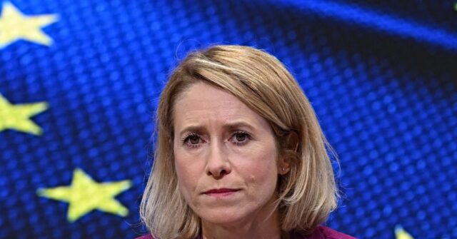 Globalist Bureaucrats Rush to Defend E.U. Foreign Service