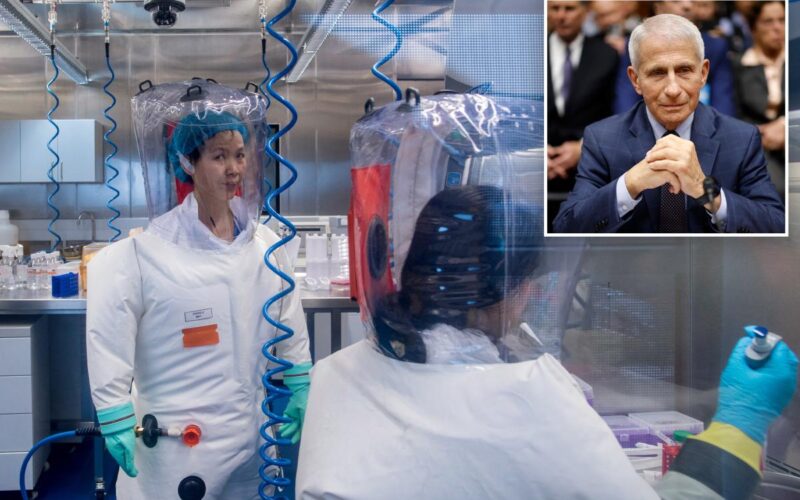 Gabbard: Fauci Funded Wuhan Lab Research That Sparked COVID