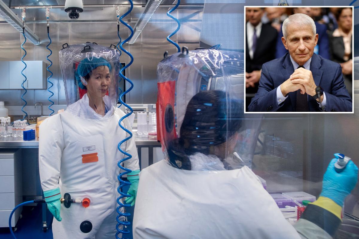 Gabbard: Fauci Funded Wuhan Lab Research That Sparked COVID