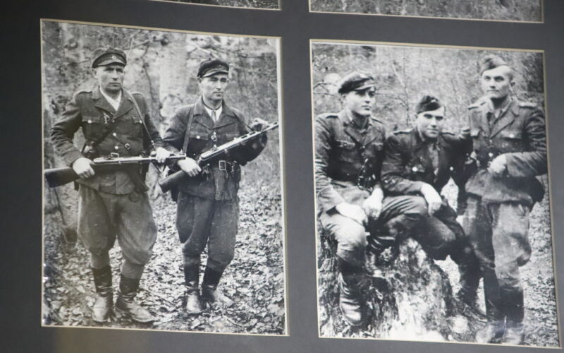 Volhynia Massacre Legacy Strains Polish-Ukraine Relations
