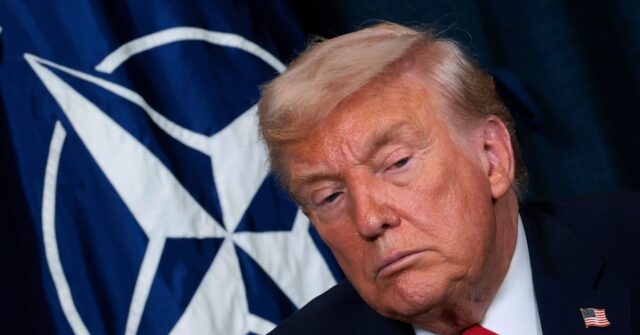 Trump Forced Europe to Boost Defense Spending, Say Analysts
