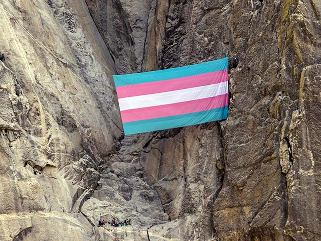 Getty Images, U.S. Court