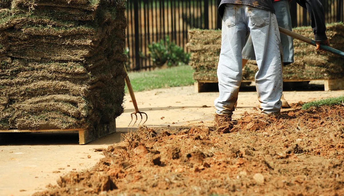Lawns Aren’t Useless If You Have Kids To Raise Right