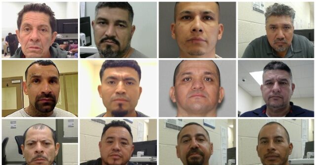 ICE Houston Arrests 735 Criminal Illegals in May, 1,200 Violent