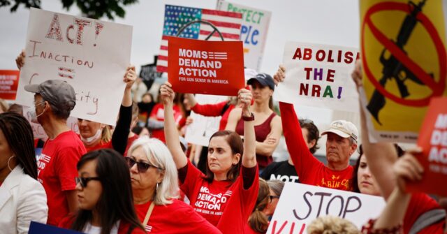 Moms Demand Action Candidate Pushes Semiautomatic Gun Ban