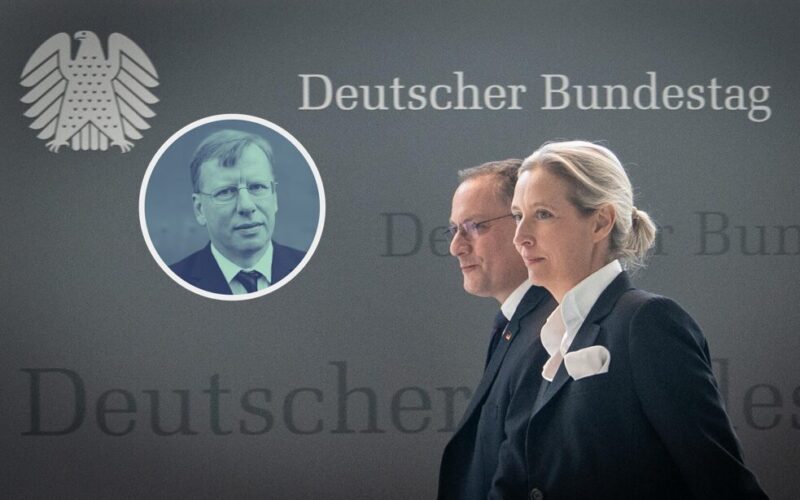The AfD and Its Enemies: Realignment of the Party System