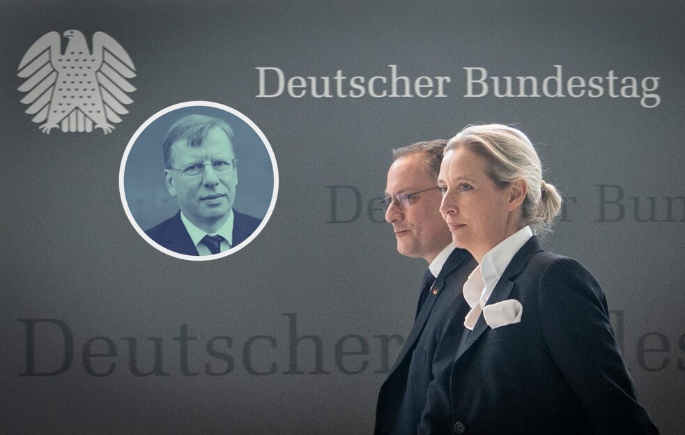 The AfD and Its Enemies: Realignment of the Party System