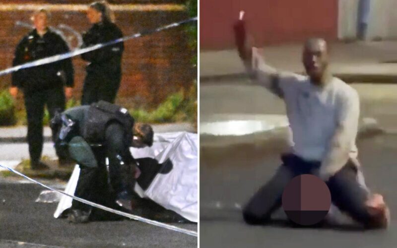 Somalian migrant arrested for attempted beheading in street