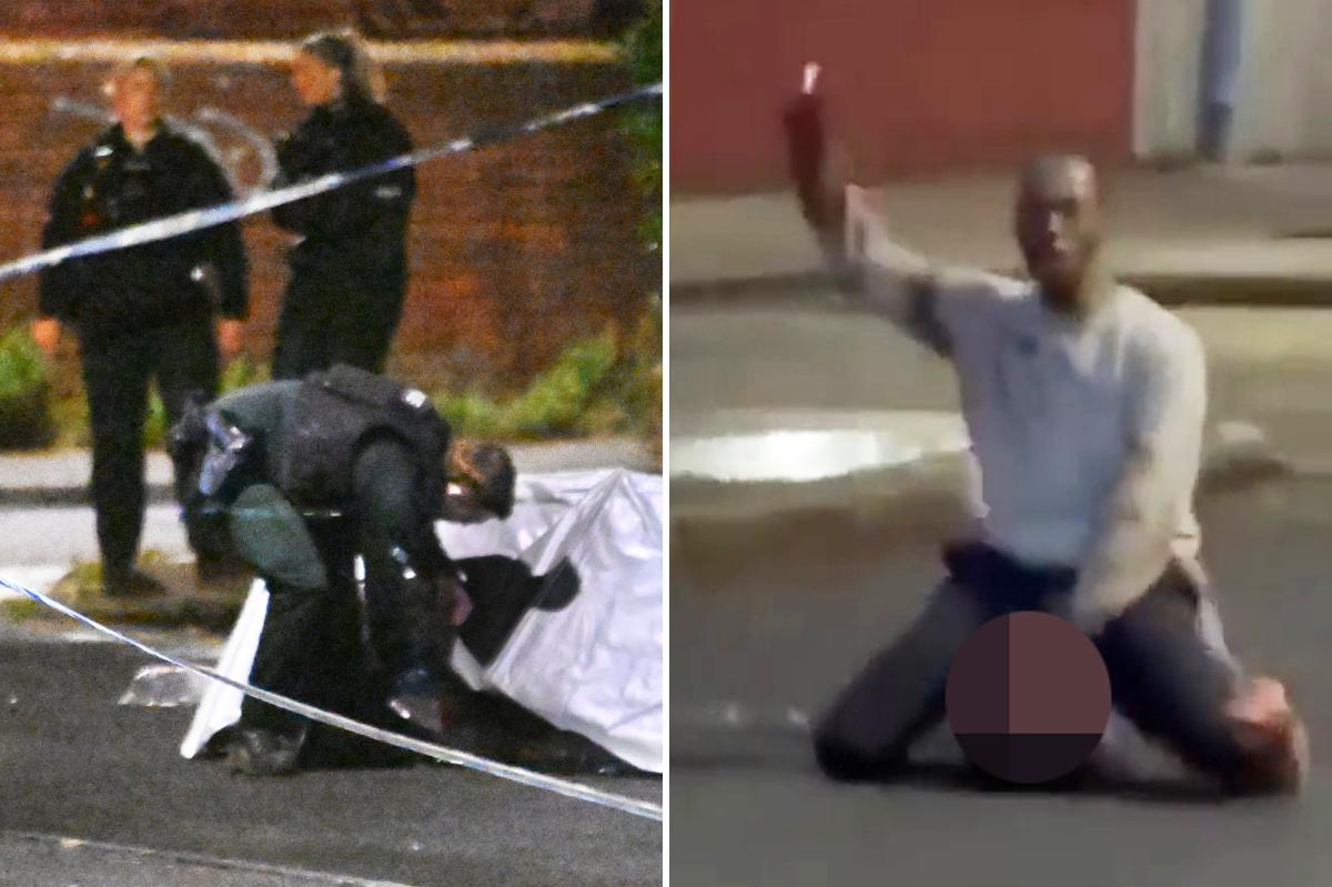 Somalian migrant arrested for attempted beheading in street