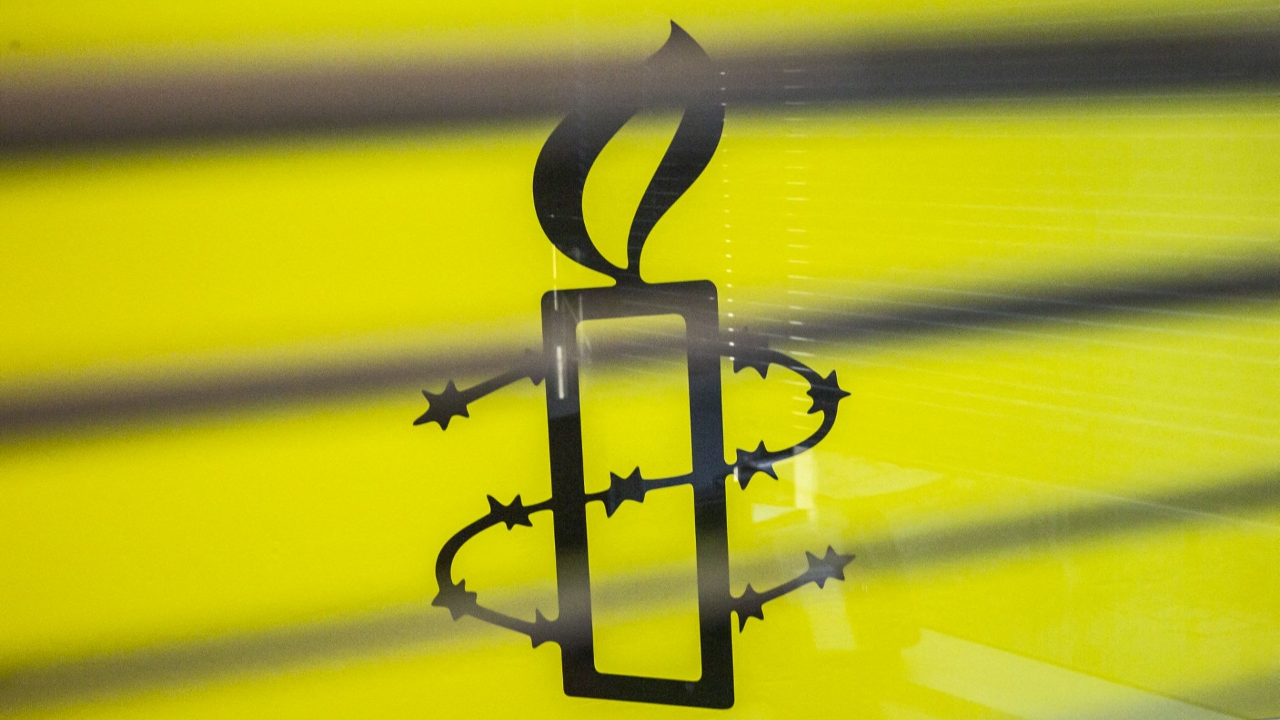 Amnesty International Draws Ire Over Nowak Remarks